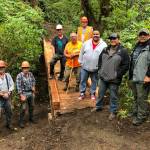 When a footbridge over Lonesome Creek, located on the popular West Ends LaPush Beach Trail, needing replacing, three organizations collaborated on it. Quileute Tribal Council provided materials, including 30-foot-long steel I-beams for the bridge stringers, the Olympic National Park provided the drawings and oversight of the project and Back Country Horsemen Mt Olympus Chapter members provided volunteers to remove the old bridge and replace it with materials that will last many years. From left, Mt. Olympus volunteers Mike McCracken, Larry Baysinger, Rich James and Ray Sutherland (orange hat). Representing the Quileute Tribal Council are, from left, and Tom Jackson, Doug Woodruff, Skylar Foster and Tony Foster. (Sherry Baysinger)
