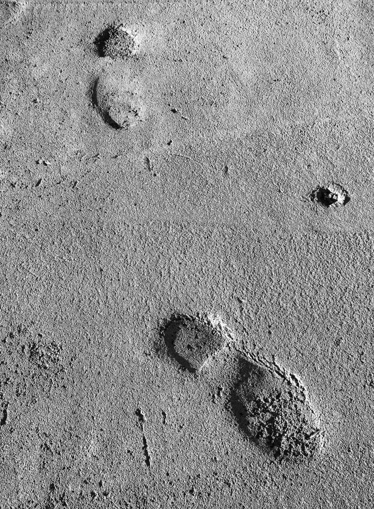 Their Footsteps Reman is the name of this photograph and of an exhibit of photos of Manzanar by Brian Goodman at the Northwind Arts Center.