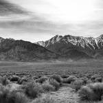 Brian Goodmans Desolate Surroundings depicts the site of the Manzanar camp in the Owens Valley of California.