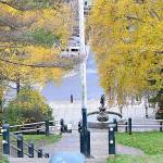 Despite this week's powerful winds, the surrounding trees near the Haller Fountain in downtown Port Townsend still wear their golden leaves. (Diane Urbani de la Paz/Peninsula Daily News)