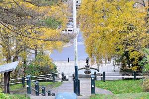 Despite this week's powerful winds, the surrounding trees near the Haller Fountain in downtown Port Townsend still wear their golden leaves. (Diane Urbani de la Paz/Peninsula Daily News)