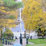 Despite this weeks powerful winds, the surrounding trees near the Haller Fountain in downtown Port Townsend still wear their golden leaves. (Diane Urbani de la Paz/Peninsula Daily News)