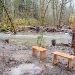 A sitting area on Little River dedicating the project to Rick Skelly, a supportive landowner of the project. He died during the second year of construction. (Photo courtesy of Tiffany Royal/Northwest Indian Fisheries Commission)