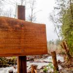 The sign reads: The Lower Elwha Klallam Tribe Dedicates the Little River Salmon Restoration Project to the Memory of Rick Skelly. Rick had a passion for the outdoors. He loved wildlife and walking in the woods. Rick spent many hours reflecting along Little River. It was one of his favorite places to be. (Photo courtesy of Tiffany Royal/Northwest Indian Fisheries Commission)