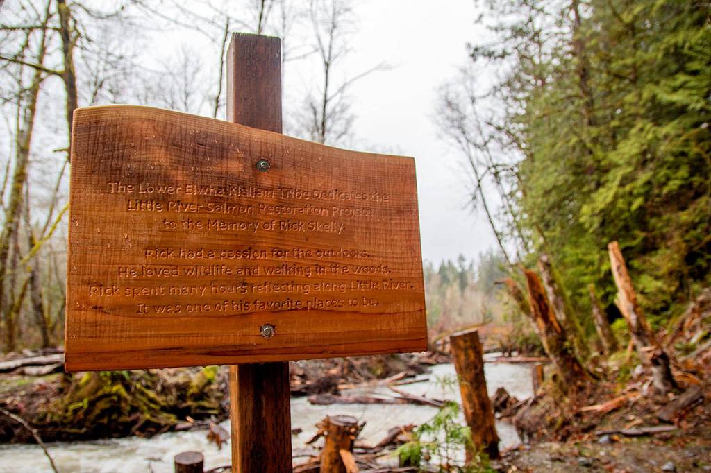 The sign reads: The Lower Elwha Klallam Tribe Dedicates the Little River Salmon Restoration Project to the Memory of Rick Skelly. Rick had a passion for the outdoors. He loved wildlife and walking in the woods. Rick spent many hours reflecting along Little River. It was one of his favorite places to be. (Photo courtesy of Tiffany Royal/Northwest Indian Fisheries Commission)