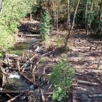 The installed logs and rock collars in Little River, just upstream from where Little River meets the Elwha River mainstem. (Photo courtesy of Natural Systems Design Inc.)