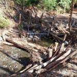The installed logs and rock collars in Little River, just upstream from where Little River meets the Elwha River mainstem. (Photo courtesy of Natural Systems Design Inc.)