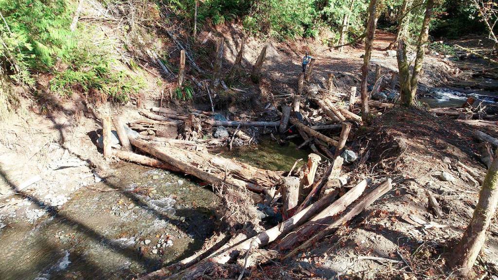 The installed logs and rock collars in Little River, just upstream from where Little River meets the Elwha River mainstem. (Photo courtesy of Natural Systems Design Inc.)