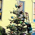 Downtown Port Townsends 16-foot Nordman fir got its ornaments, courtesy of longtime Main Street decorator Michael Rosser, in anticipation of the virtual tree lighting around dusk Saturday. The lighting will be shared on the Port Townsend Main Street Program Facebook page. (Diane Urbani de la Paz/Peninsula Daily News)