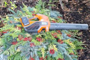 My electric blower — which is not only far quieter than a Whidby Island Growler, but also is vastly better for the environment than gas blowers. We, as gardeners, should be stewards of the land. (Andrew May/For Peninsula Daily News)