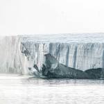 Johanna Kings photographs will be on display beginning Thursday at the Northwind Art Grover Gallery.