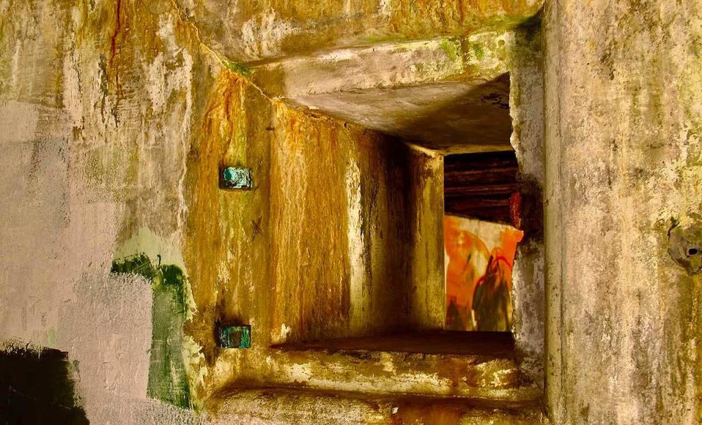 Lynn Sorensen gets up close for her abstract photography.