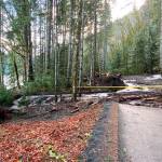 A landslide blocks safe passage along the Spruce Railroad Trail. Olympic National Park officials said that heavy rain was the cause. (Photo courtesy of Noel Carey)