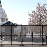 Capitol police officers stand outside of fencing that was installed around the exterior of the Capitol grounds, Thursday, Jan. 7, 2021 in Washington. The House and Senate certified the Democrat's electoral college win early Thursday after a violent throng of pro-Trump rioters spent hours Wednesday running rampant through the Capitol. A woman was fatally shot, windows were bashed and the mob forced shaken lawmakers and aides to flee the building, shielded by Capitol Police. (AP Photo/John Minchillo)