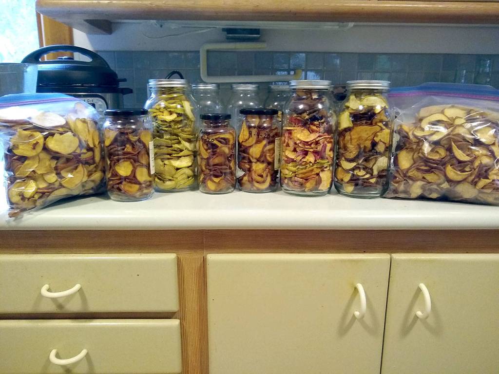 Volunteer gleaner Laurie Levites dried countless apples to last through the winter. (Photo courtesy of Laurie Levites)