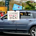 An unidentified driver and a spaniel speed past the Inauguration Day celebration in downtown Port Townsend on Wednesday. (Diane Urbani de la Paz/Peninsula Daily News)