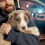 Sgt. Josh Powless holds one of the puppies after the tape was removed from its muzzle. (Clallam County Sheriffs Office)