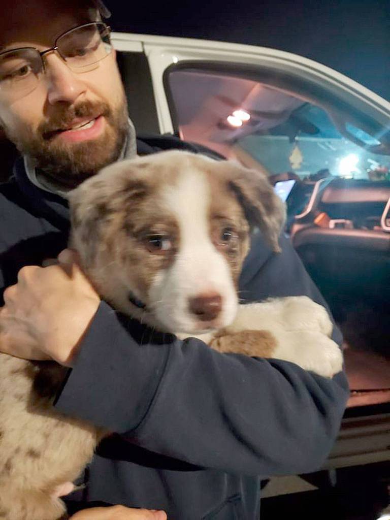 Sgt. Josh Powless holds one of the puppies after the tape was removed from its muzzle. (Clallam County Sheriffs Office)
