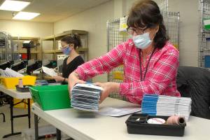 Clallam County election officials Nancy Buckner of Sequim, front, and Nicole Mischke of Port Angeles sort through special election ballots earlier today at the county courthouse in Port Angeles. (Keith Thorpe/Peninsula Daily News)