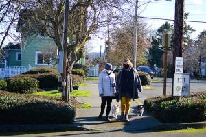 Pam Chapman, left, and neighbor Corena Stern, along with Chapman's dogs Bella and Hamish, walk on Tyler Street in Uptown Port Townsend on Tuesday. Port Townsend officials are looking at ways to maintain 81 miles of city streets on a limited budget.  (Diane Urbani de la Paz/Peninsula Daily News)