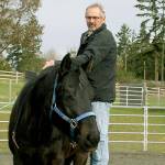 Ken Seifer prepares to climb into the saddle of Bob, a horse who  was traumatized by a farrier. After working with Seifer, Bob can now stand quietly and calmly while his hooves are tended. (Karen Griffiths/for Peninsula Daily News)