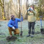 Stewardship coordinator Nate Roberts and education/outreach associate Rian Plastow of the North Olympic Salmon Coalition lead a tree planting event near the Dungeness River in pre-pandemic February 2020. (Michael Dashiell/Olympic Peninsula News Group file photo)