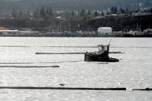 Keith Thorpe/Peninsula Daily News
A log boom tug works the waters at the west end of Port Angeles Harbor on Tuesday. The tugs are used for coralling logs for later pickup and tending the containing booms.