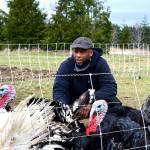 Farmer Peter Mustin plans to raise poultry -- including turkeys, chickens and quail -- on his 24-acre Woodbridge Farm in Chimacum. Diane Urbani de la Paz/Peninsula Daily News
