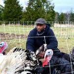 Farmer Peter Mustin plans to raise poultry  including turkeys, chickens and quail  on his 24-acre Woodbridge Farm in Chimacum. (Diane Urbani de la Paz/Peninsula Daily News)