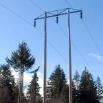 Keith Thorpe/Peninsula Daily News
A 115,000 volt Bonneville Power Administration transmission line that feeds electricity to the West End stands near a partially cut problem tree off Hansen Road west of Port Angeles.