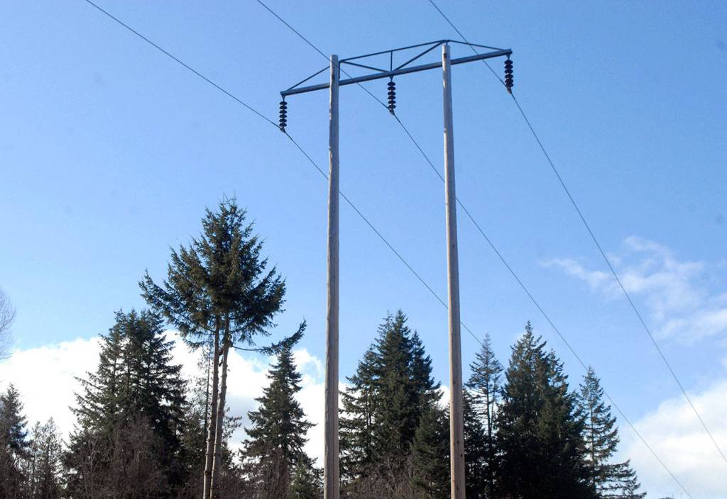 Keith Thorpe/Peninsula Daily News
A 115,000 volt Bonneville Power Administration transmission line that feeds electricity to the West End stands near a partially cut problem tree off Hansen Road west of Port Angeles.