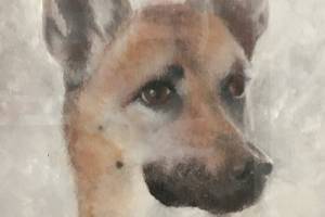 Bruce Corbridge's painting of his dog, Sergeant, is among the pieces displayed in the Port Ludlow Art League exhibit.