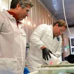 Work to protect the marine environment continues in Sequim, just under a new name as the Marine and Coastal Research Laboratory. Here in November 2016, researchers George Bonheyo, left, and Robert Jeters with Pacific Northwest National Laboratory apply an aggregator during a demonstration in a freezer laboratory in Sequim to show how the product bunches oil together in icy conditions. Bonheyo, PNNL senior research scientist for the laboratory and a research professor of biotechnology for Washington State University – Pullman, said it acts like a wick so that it can burn the oil more efficiently than chemicals. File photo by Matthew Nash/Olympic Peninsula News Group