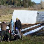 Five young growers collaborate at Port Ludlows White Lotus Farm, one of the many food providers on the Eat Local First Farm Finder, a new online tool. From left are Niall Motson, Natalie Swope, Cody Taylor, Julia-Ellen Spruill-Smith and Cass Curl. (Diane Urbani de la Paz/Peninsula Daily News)