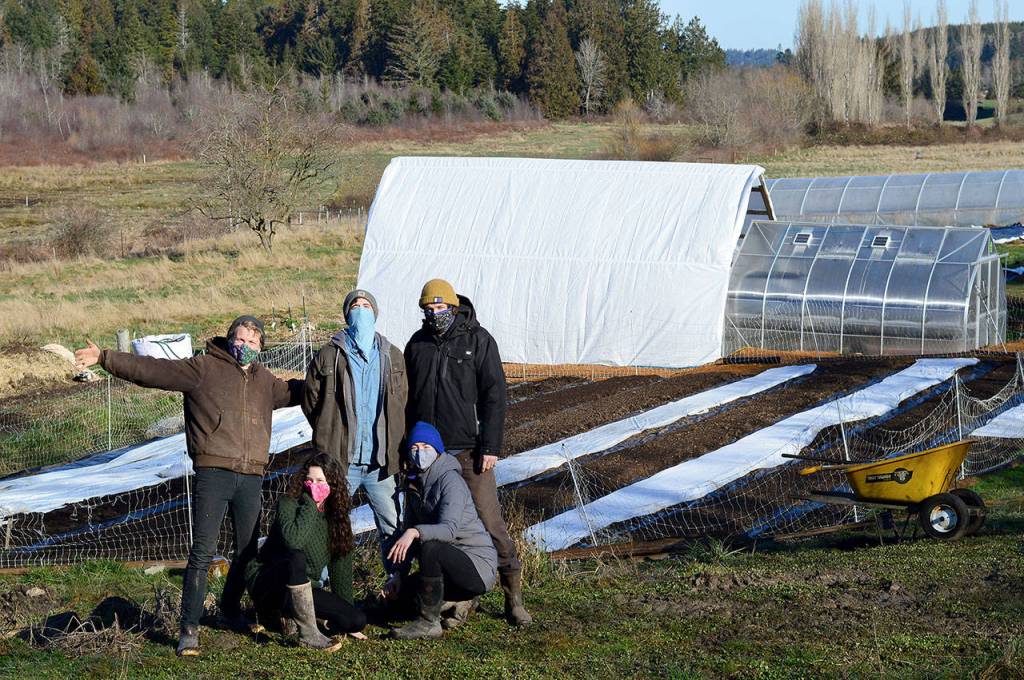 Five young growers collaborate at Port Ludlows White Lotus Farm, one of the many food providers on the Eat Local First Farm Finder, a new online tool. From left are Niall Motson, Natalie Swope, Cody Taylor, Julia-Ellen Spruill-Smith and Cass Curl. (Diane Urbani de la Paz/Peninsula Daily News)