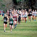 Port Angeles Lauren Larson (101) and Sequims Riley Pyeatt (102) lead the pack in the girls race at the Olympic League cross country championships.