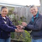 Audreen Williams, left, and Jeanette Stehr-Green look to provide information about successful vegetable gardening on the north Olympic Peninsula via Zoom on Thursday, March 25. Submitted photo
