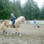 Becky Cushman instructs Amy Greenbaum as she rides BelClaire at Cushmans Paradigm Sporthorse Training facility in Port Townsend. (Karen Griffiths/for Peninsula Daily News)