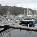 Port Angeles Boat Haven, shown on Saturday, is scheduled for impovements by the Port of Port Angeles. (Keith Thorpe/Peninsula Daily News)