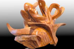 "Entanglement" by Alan Newberg will be exhibited at Northwind Art Best Gallery.