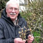 Bob Crain will discuss fungicide use at noon Thursday