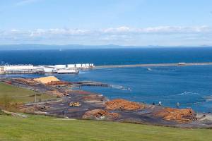 Keith Thorpe/Peninsula Daily News
The western end of Port Angeles Harbor is shown on Thursday.