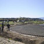 A new, above-ground, self-contained liquid manure pond is set to finish this month and reduce odor at Dungeness Valley Creamery, owners Ryan and Sarah McCarthey said. (Matthew Nash/Olympic Peninsula News Group)
