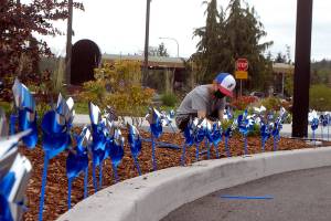 Cameron Colfax, 10, a member of the Jamestown SKlallam tribal youth program, plants pinwheels along the driveway of the tribal Justice Center in Blyn on Tuesday. The pinwheels are part of 3,600 that Dru Froggett, child advocate for the Jamestown SKlallam Tribe, has ensured were placed around the Jamestown campus, at the Jamestown Medical Clinic in Sequim and at Lower Elwha Klallam facilities in Port Angeles as part of a national effort to raise awareness of child abuse prevention. (Keith Thorpe/Peninsula Daily News)