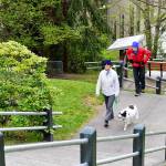 Christine Edwards, her Border collie Zoe by her side, and Mari Friend lead the charge Wednesday morning up the Taylor Street stairs, a de facto exercise facility connecting downtown and Uptown Port Townsend. (Diane Urbani de la Paz/Peninsula Daily News)