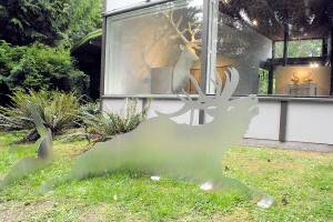 Keith Thorpe/Peninsula Daily News
An aluminum cut-out of a Roosevelt elk sits outside the Port Angeles Fine Arts Center, part of the "Conservation From Here" exhibit that includes original art by Joseph Rossano.