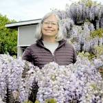 LeeAnn Nolan said her wisteria, nicknamed Medusa, has become an attraction for people with many stopping by to snap photos while its in bloom. (Matthew Nash/Olympic Peninsula News Group)