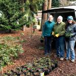 Bruce and Pam Busch have donated an estimated 12,000 tree seedlings in the past 12 years to the Lower Elwha Klallam Tribe for restoration projects. Pictured with Busch are Laurel Moulton, program coordinator for the Clallam County Master Gardeners, at left, and Kim Williams, revegetation supervisor of the Lower Elwha Tribe. Submitted photo