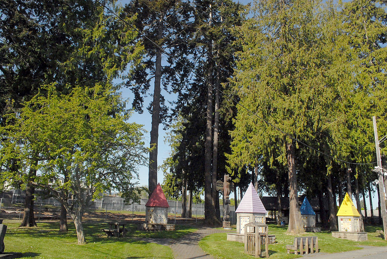 Keith Thorpe/Peninsula Daily News Towering trees surround the site of the future Dream Playground at Erickson Playfield in Port Angeles on Saturday. Fifteen trees at the site are slated for removal to make way for an updated playground.