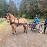 In Port Townsend Sarah Sally Dean, seated, helps prepare Juelie Dalzell and her horse Jack to pull the cart Dalzell and her husband Jeff Chapman took this month for a 18-day, 240-mile journey on The Palouse to Cascades trail. (Photo courtesy of Andrea Gold)